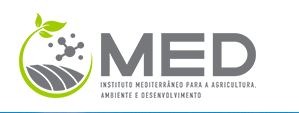 Logotipo Instituto Mediterrâneo para a Agricultura, Ambiente e Desenvolvimento