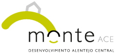 Logo > Monte-ACE